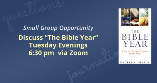 The Bible Year - Small Group Discussion